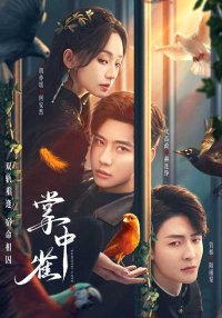 Птица в ладони (2025)